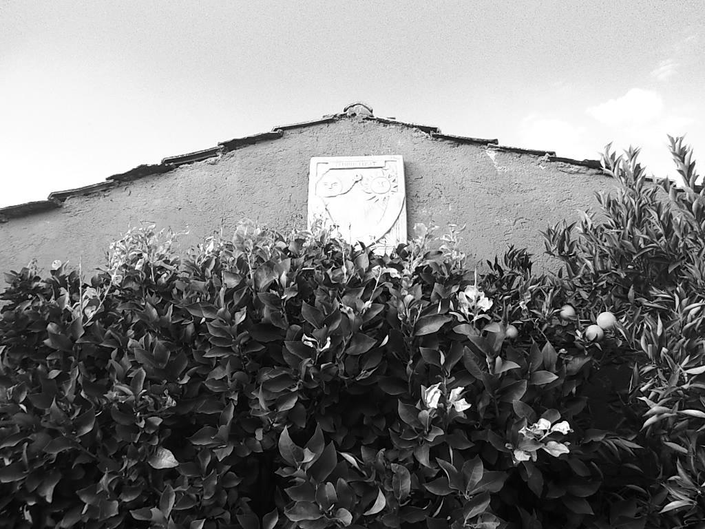 B&B Colle Cucchiara Cassino Bagian luar foto